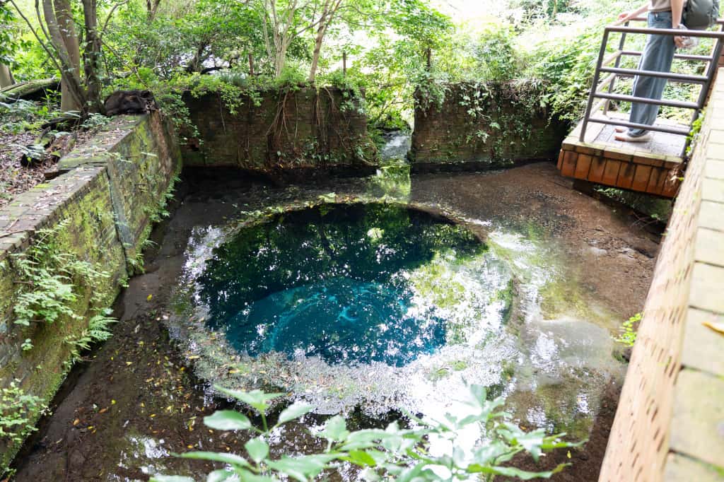 柿田川公園の展望台から見下ろす湧き間の青