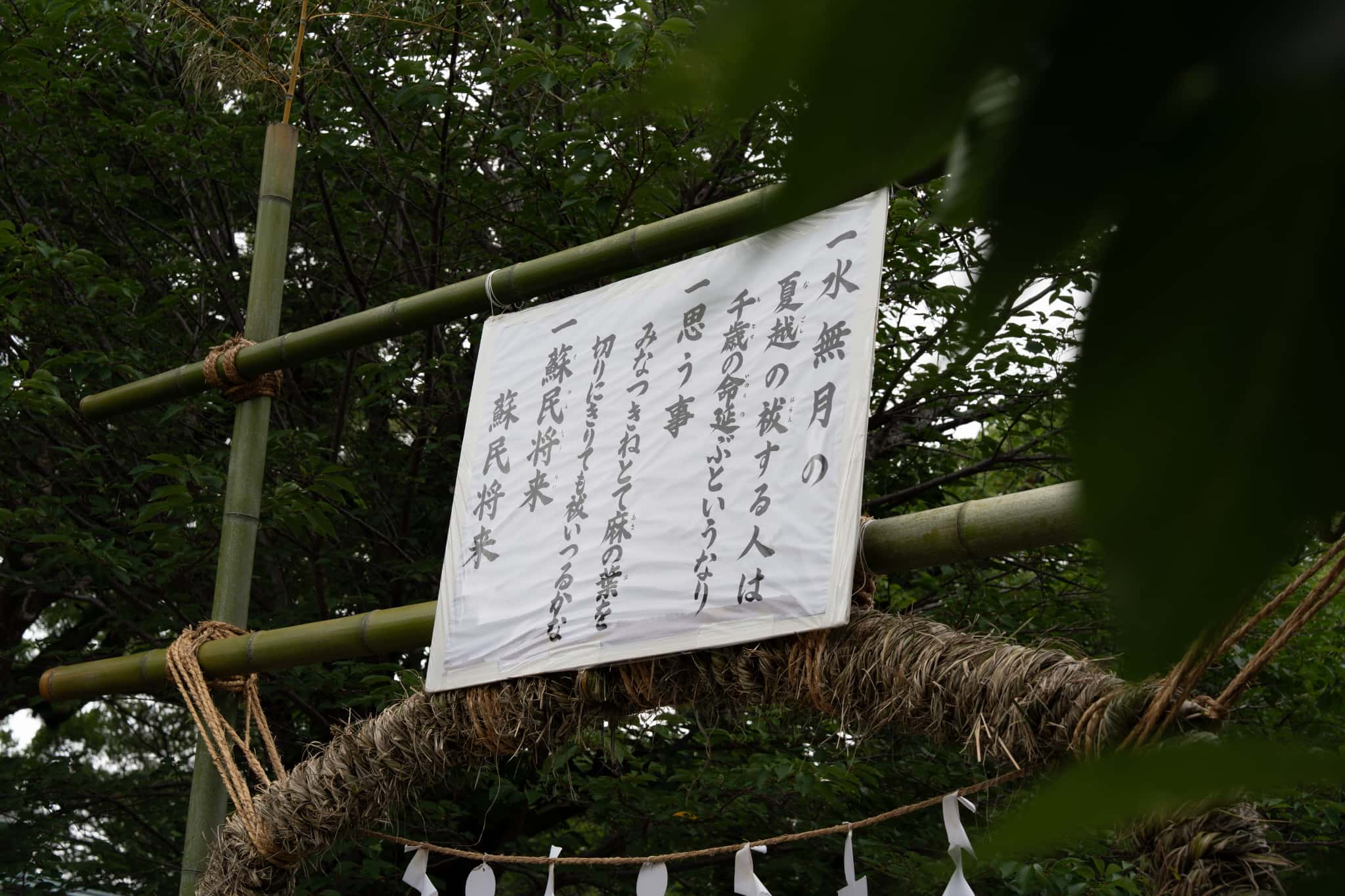 三嶋大社の茅の輪に掲げられた夏越の祓の歌