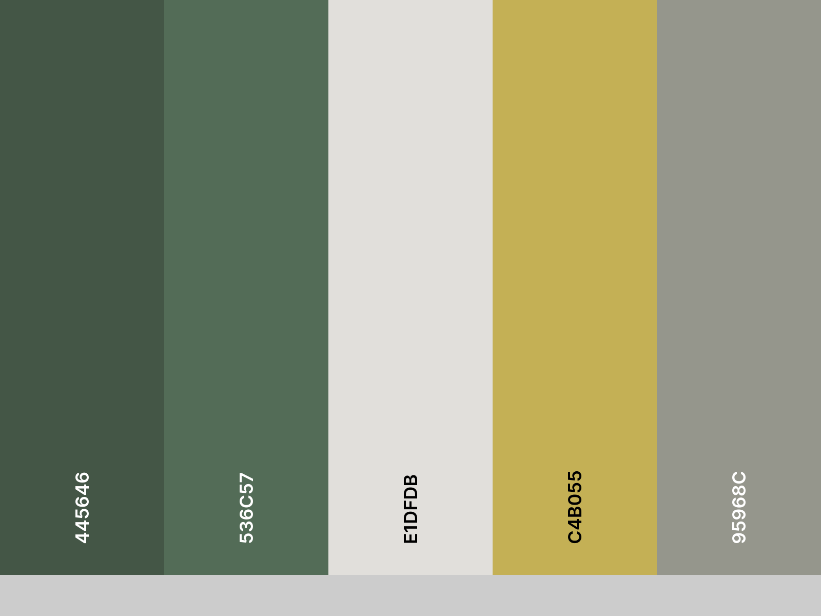 palette_antonio