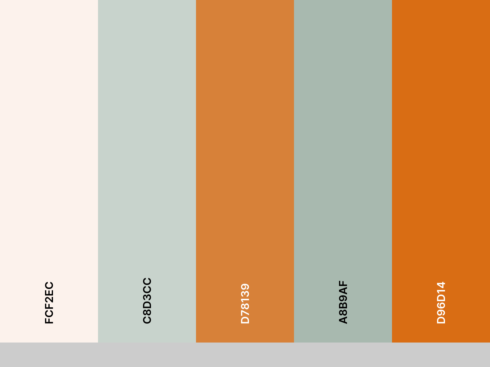 palette_boxed-carrots
