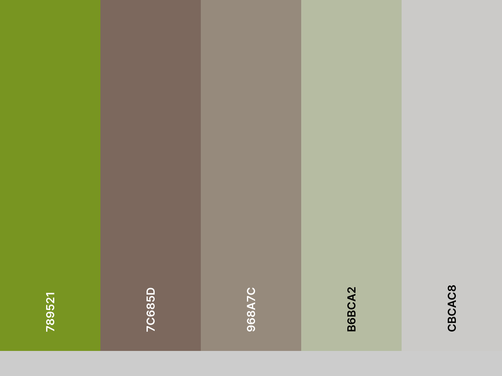 palette_chris
