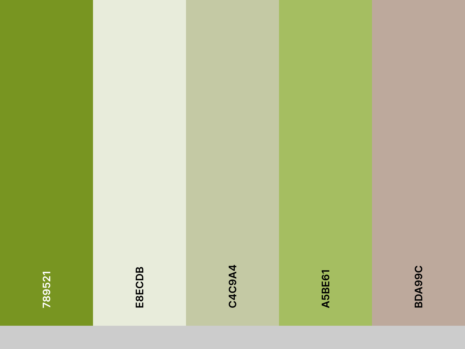 palette_eternity