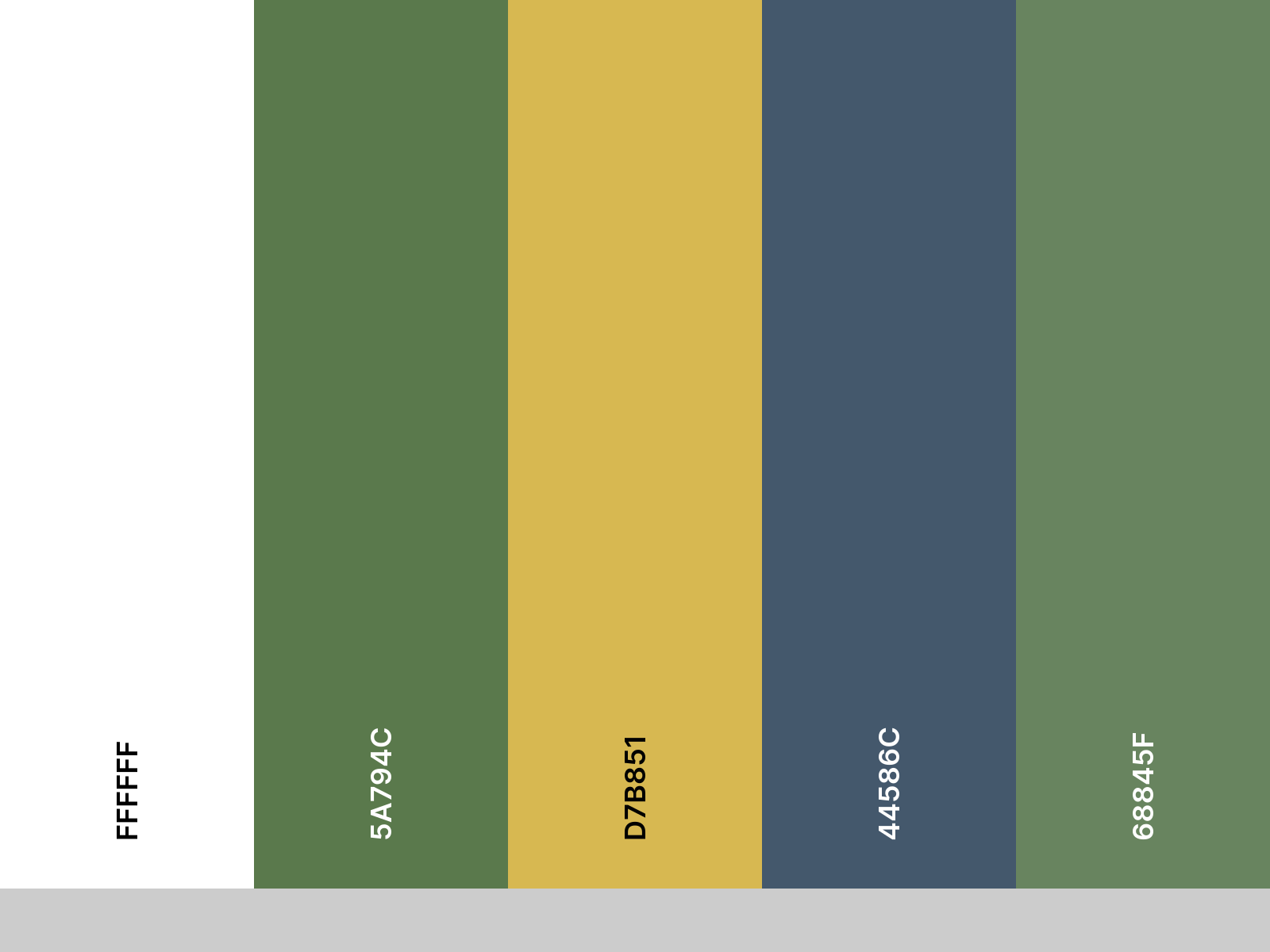 palette_fish-market