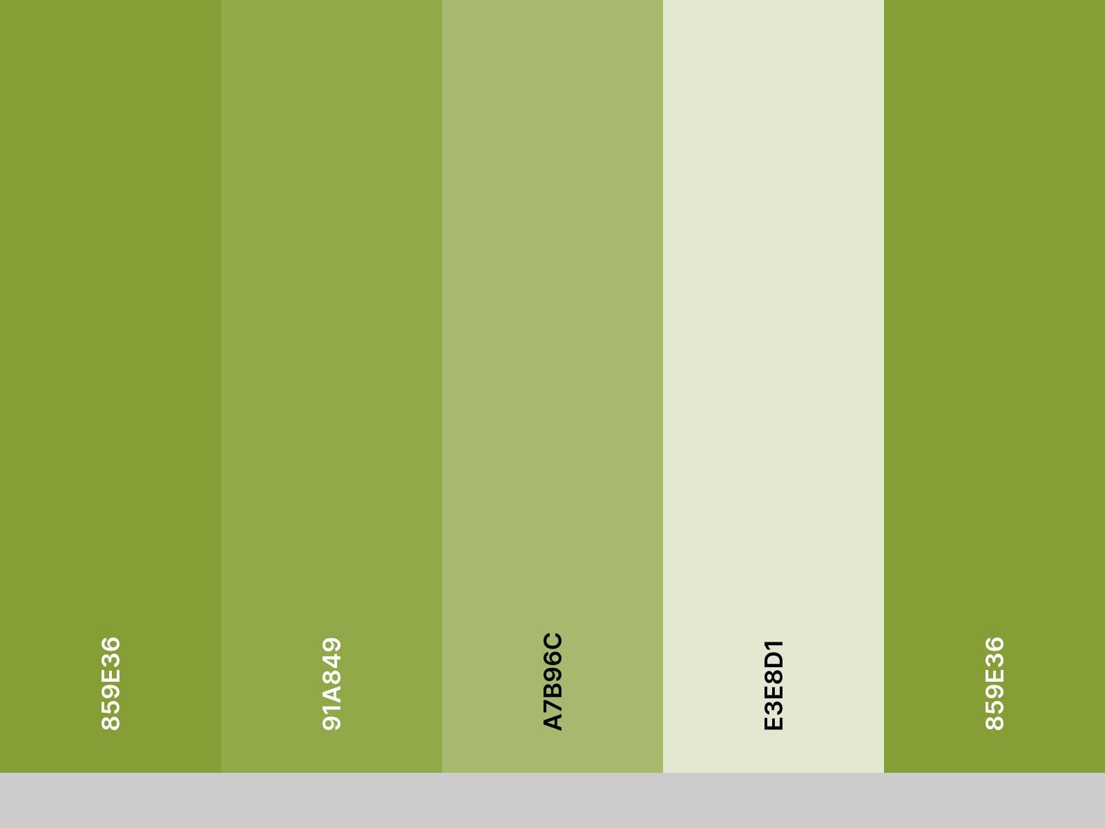palette_for-amsterdam