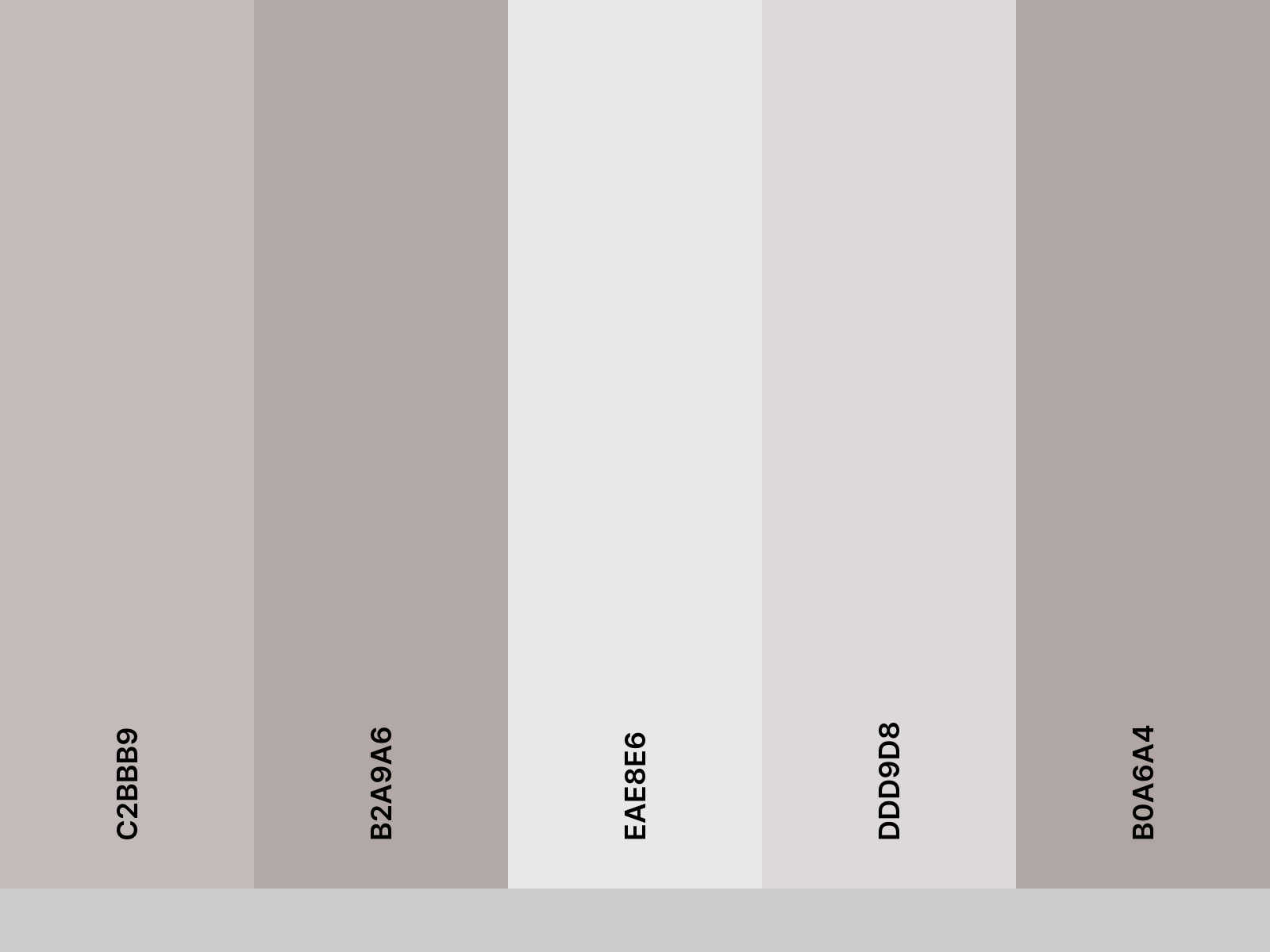 palette_gray-warp