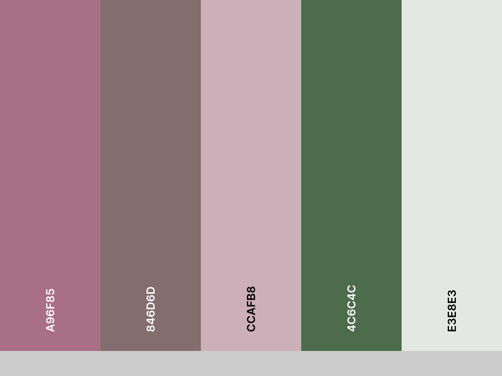 palette_izzy