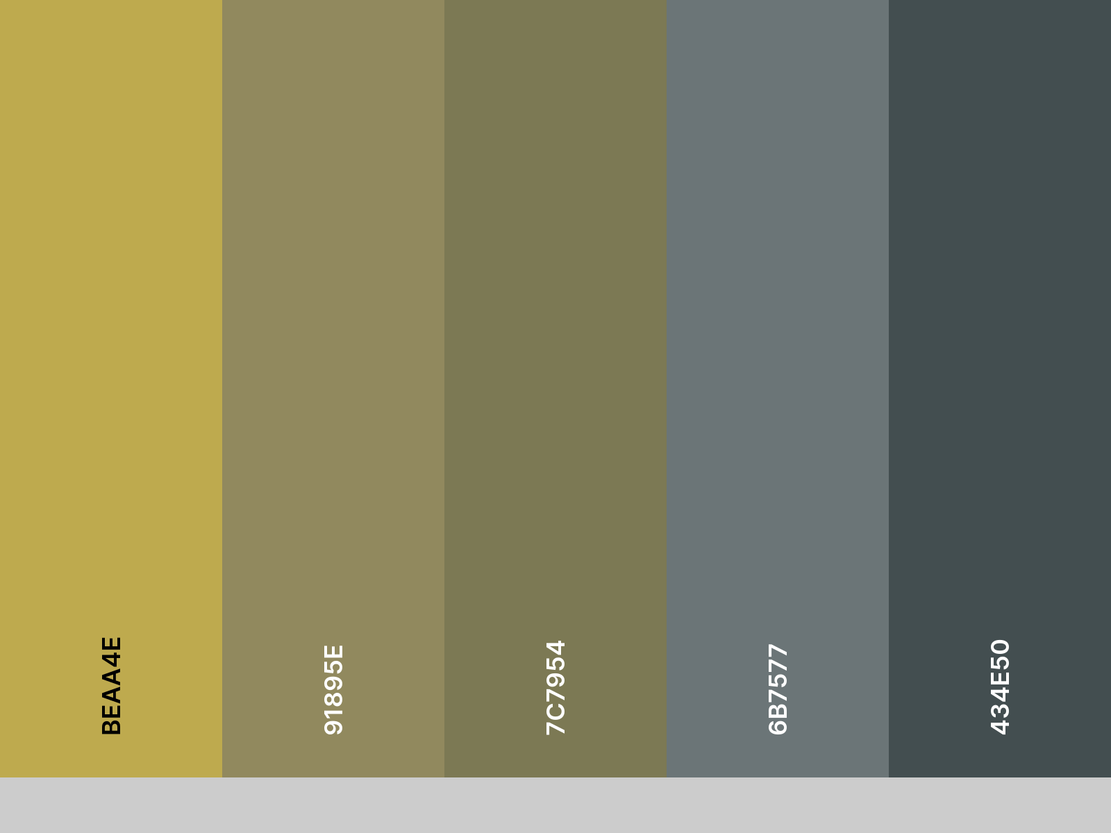 palette_navy-tartan